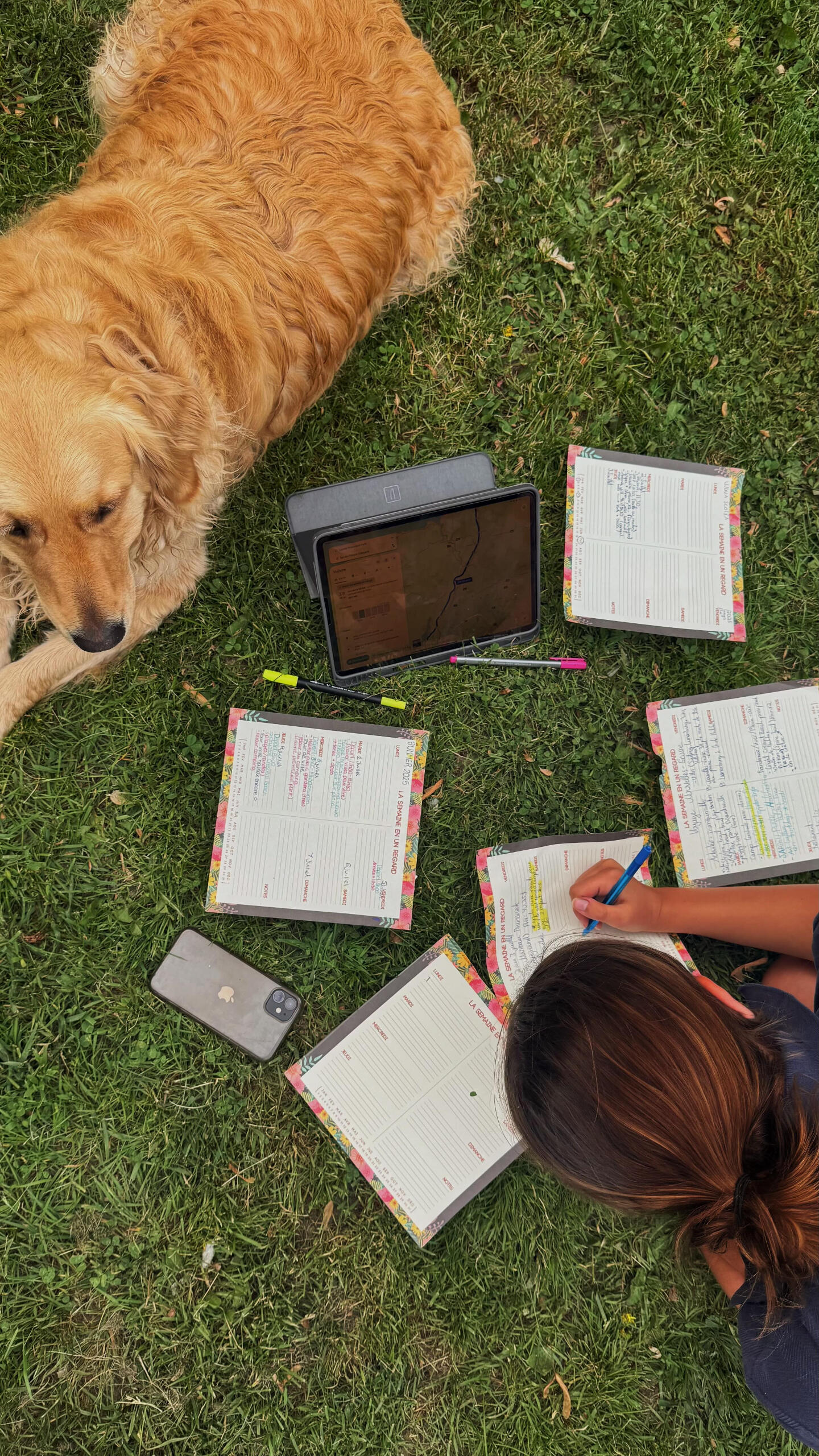 Sarah Aumond / Les chiens de Sarah